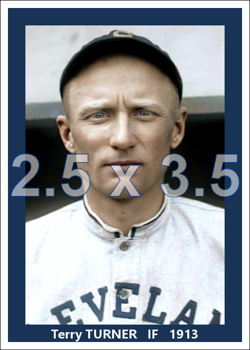 Terry Turner - 1913 Cleveland Naps - choose a size & style