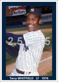 Terry Whitfield - 1976 New York Yankees - choose a size & style