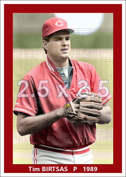 Tim Birtsas - 1989 Cincinnati Reds - choose a size & style