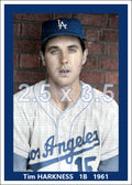 Tim Harkness - 1961 Los Angeles Dodgers - choose a size & style