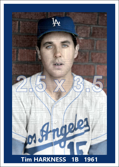Tim Harkness - 1961 Los Angeles Dodgers - choose a size & style