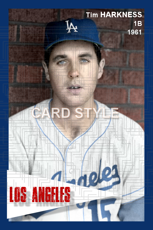 Tim Harkness - 1961 Los Angeles Dodgers - choose a size & style