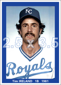 Tim Ireland - 1981 Kansas City Royals - choose a size & style