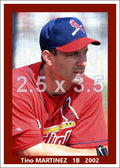 Tino Martinez - 2002 St. Louis Cardinals - choose a size & style