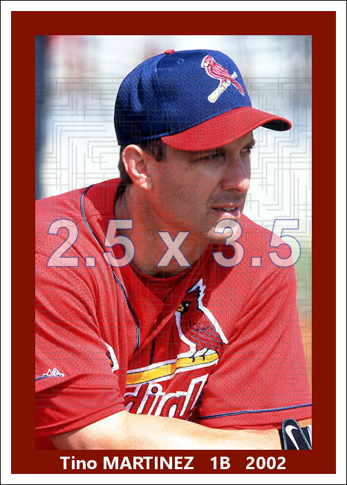 Tino Martinez - 2002 St. Louis Cardinals - choose a size & style