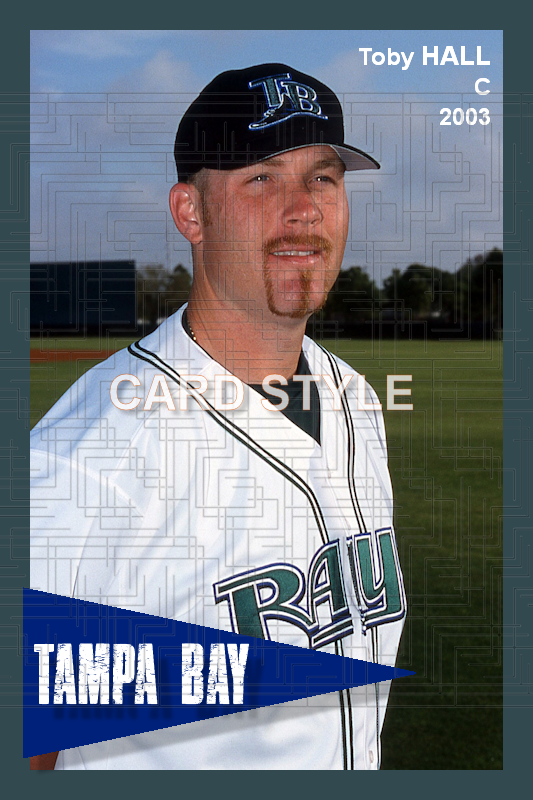 Toby Hall - 2003 Tampa Bay Devil Rays - choose a size & style