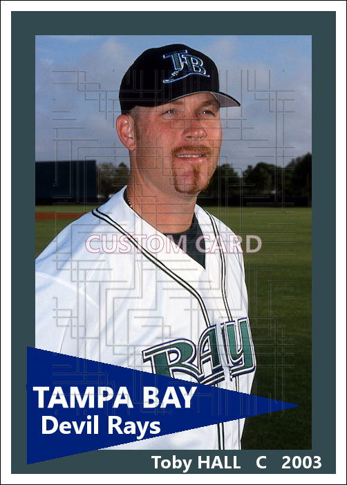 Toby Hall - 2003 Tampa Bay Devil Rays - choose a size & style