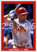 Todd Pratt - 2003 Philadelphia Phillies - choose a size & style