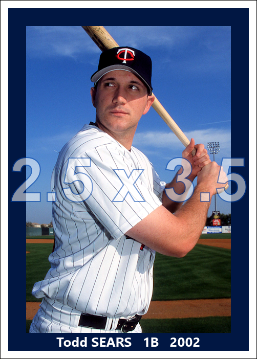 Todd Sears - 2002 Minnesota Twins - choose a size & style