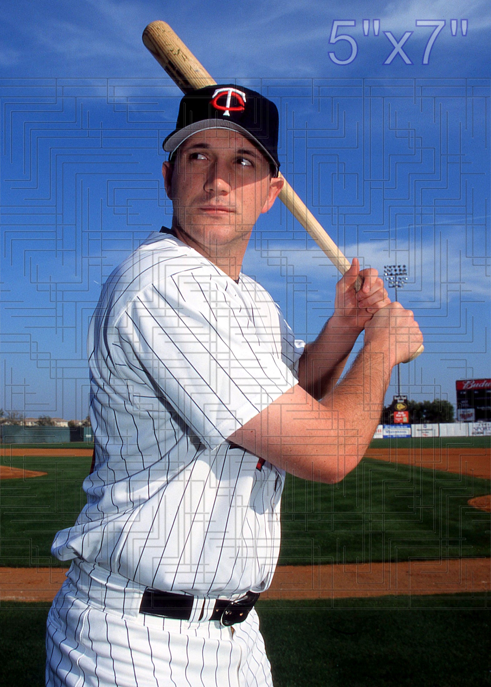 Todd Sears - 2002 Minnesota Twins - choose a size & style