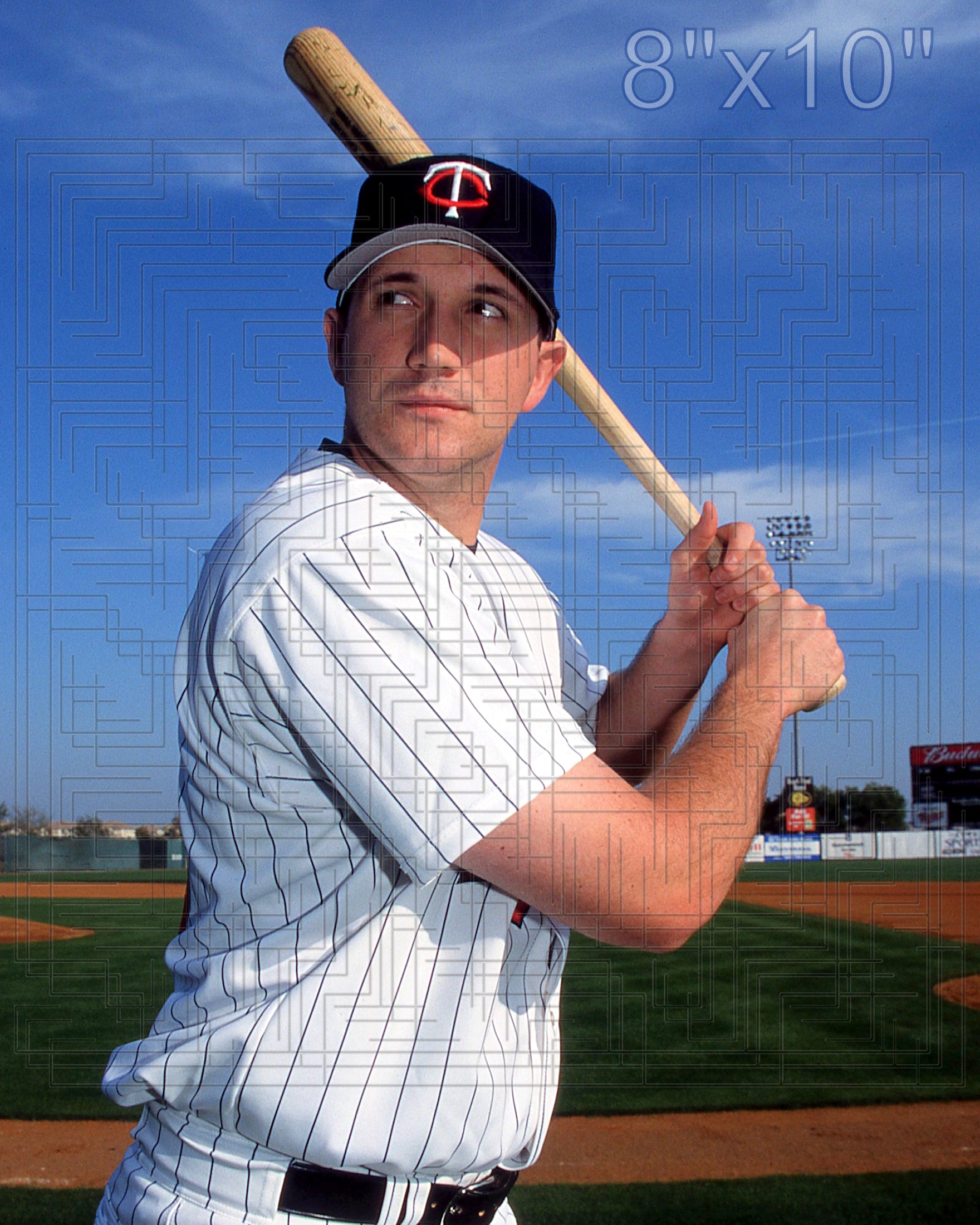 Todd Sears - 2002 Minnesota Twins - choose a size & style