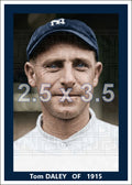Tom Daley - 1915 New York Yankees - choose a size & style