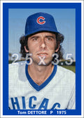 Tom Dettore - 1975 Chicago Cubs - choose a size & style