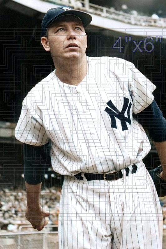 Tom Ferrick - 1950 New York Yankees - choose a size & style