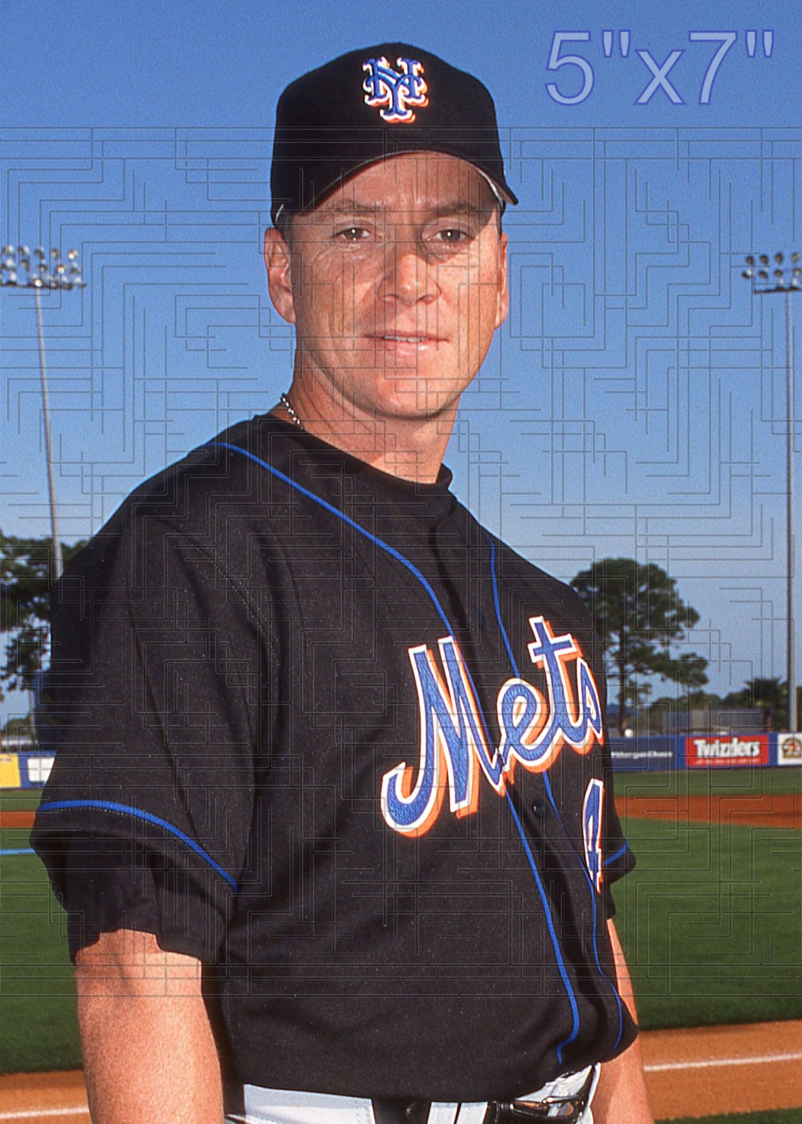 Tom Glavine - 2003 New York Mets - choose a size & style