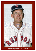 Tom Herrin - 1954 Boston Red Sox - choose a size & style