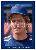 Tom O'Malley - 1989 New York Mets- choose a size & style