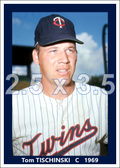 Tom Tischinski - 1969 Minnesota Twins - choose a size & style