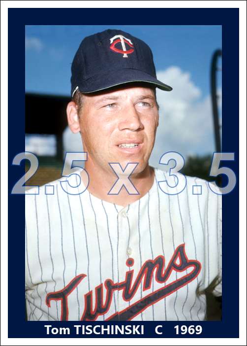 Tom Tischinski - 1969 Minnesota Twins - choose a size & style
