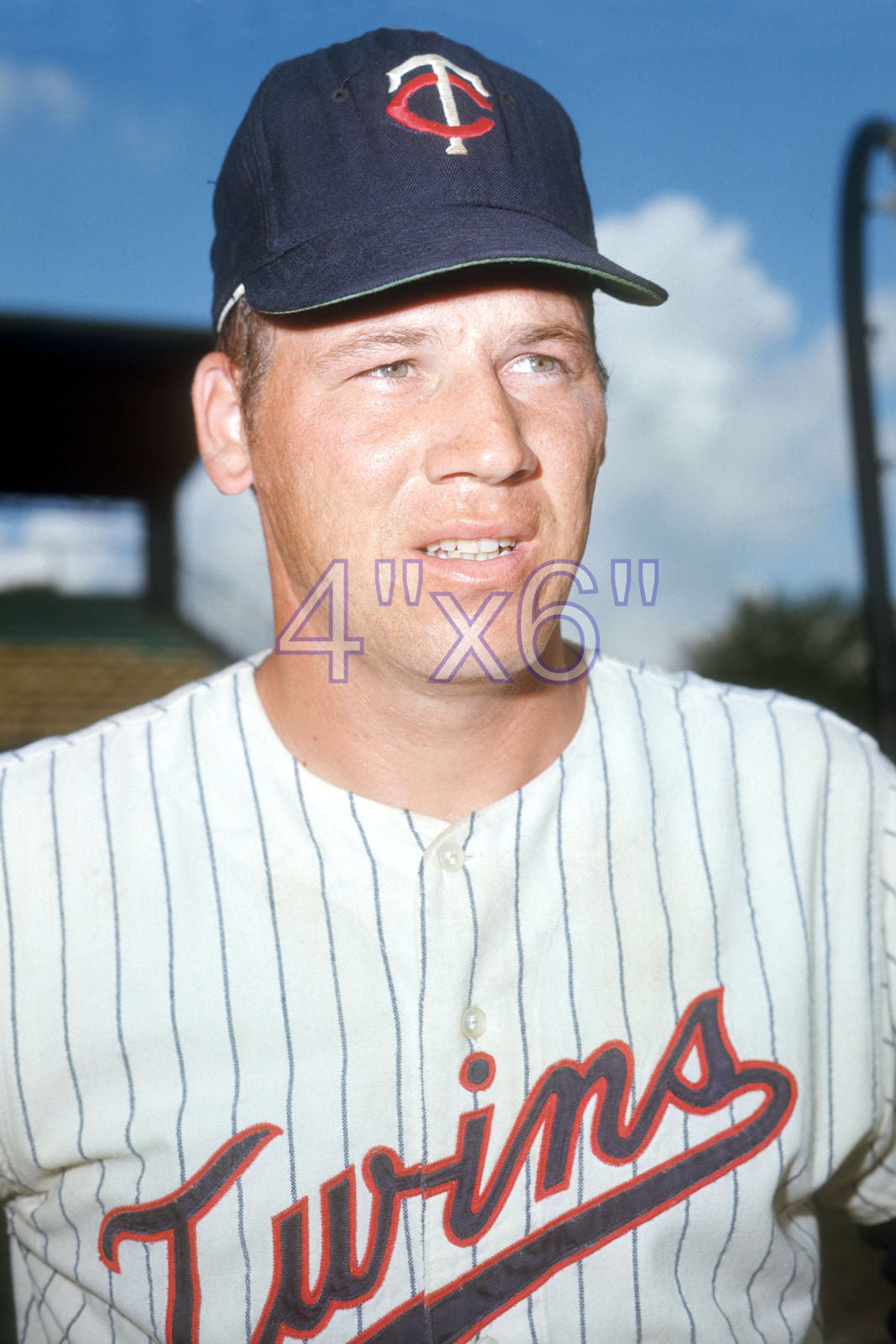 Tom Tischinski - 1969 Minnesota Twins - choose a size & style