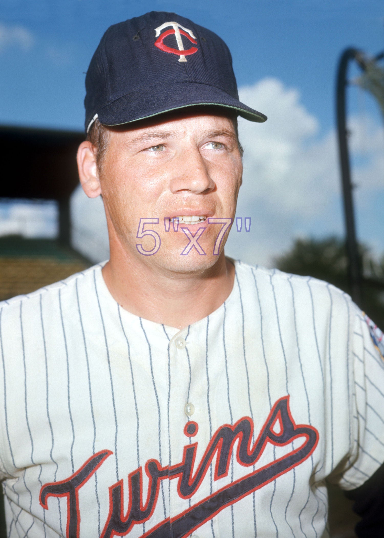 Tom Tischinski - 1969 Minnesota Twins - choose a size & style