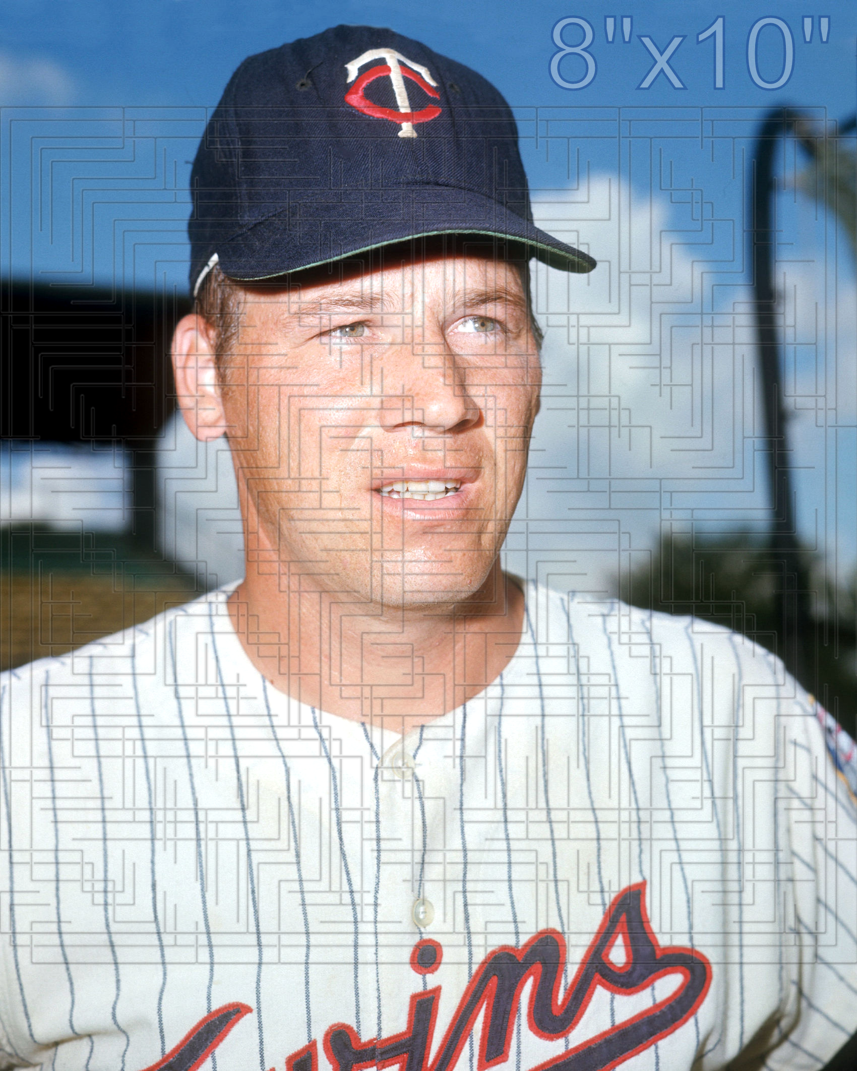 Tom Tischinski - 1969 Minnesota Twins - choose a size & style
