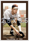 Tom Upton - 1950 St. Louis Browns - choose a size & style