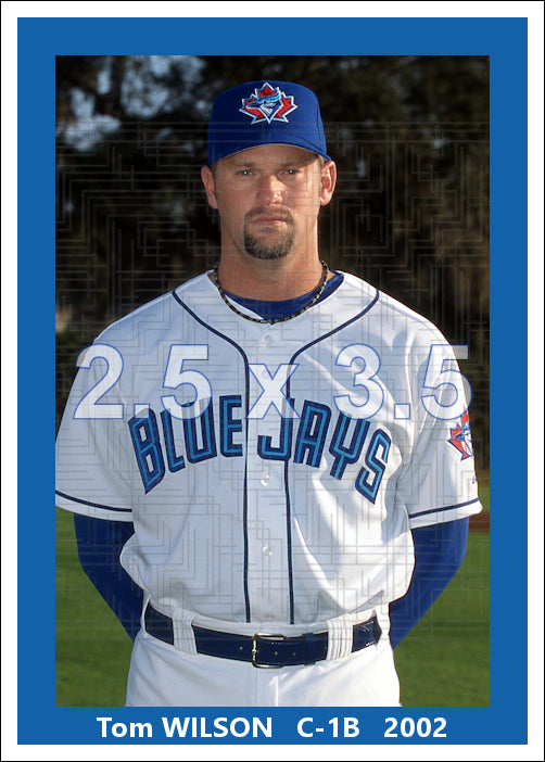 Tom Wilson - 2002 Toronto Blue Jays - choose a size & style