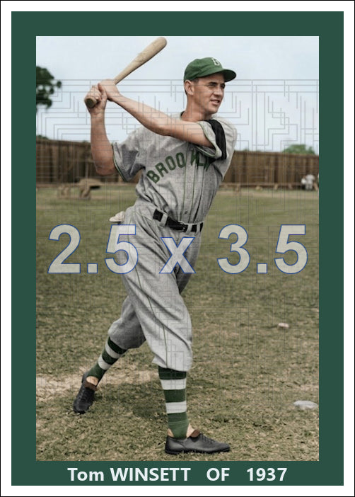 Tom Winsett - 1937 Brooklyn Dodgers - choose a size & style