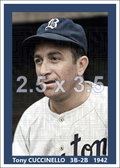 Tony Cuccinello - 1942 Boston Braves - choose a size & style