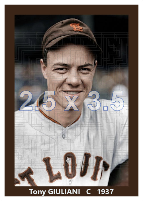 Tony Giuliani - 1937 St. Louis Browns - choose a size & style
