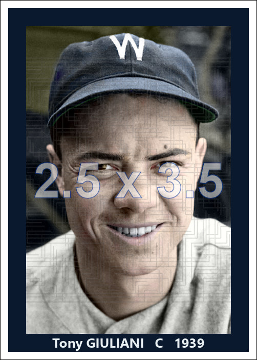 Tony Giuliani - 1939 Washington Senators - choose a size & style