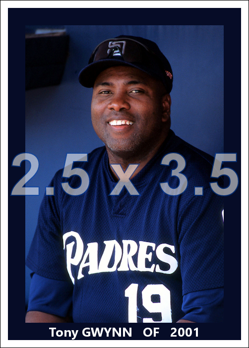 Tony Gwynn - 2001 San Diego Padres - choose a size & style
