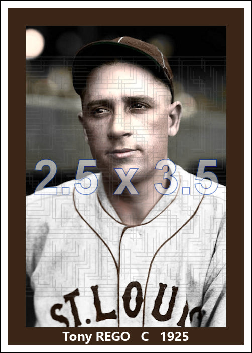 Tony Rego - 1925 St. Louis Browns - choose a size & style