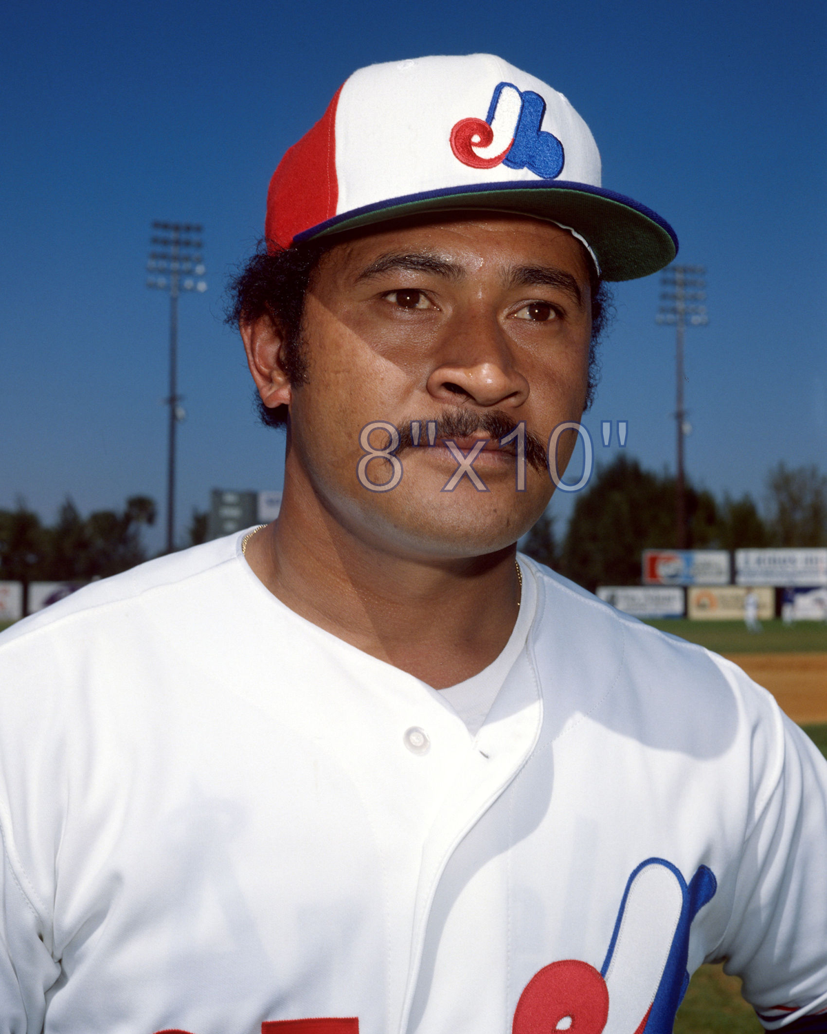 Tony Solaita - 1979 Montreal Expos - choose a size & style