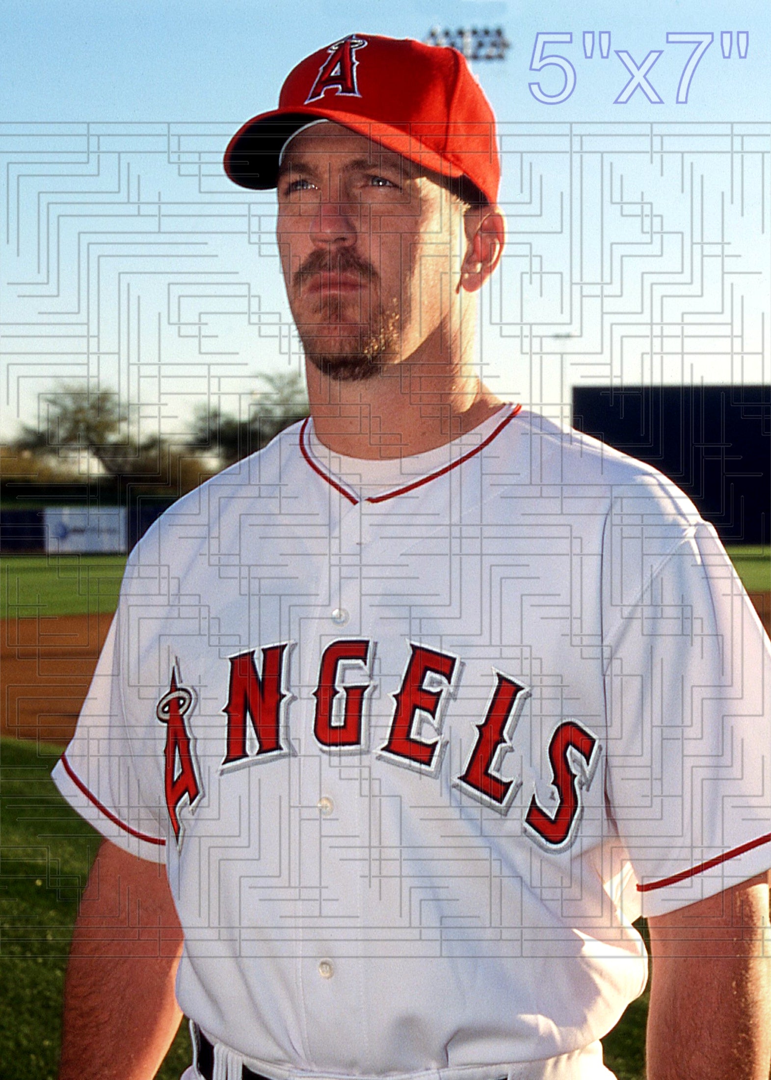 Troy Percival - 2002 Anaheim Angels - choose a size & style