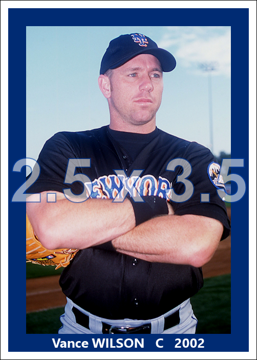 Vance Wilson - 2002 New York Mets - choose a size & style