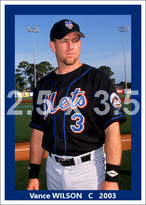 Vance Wilson - 2003 New York Mets - choose a size & style