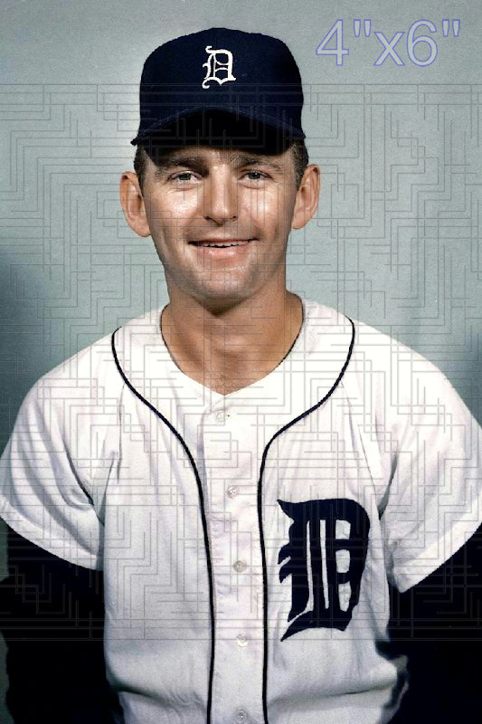 Vern Holtgrave - 1965 Detroit Tigers - choose a size & style