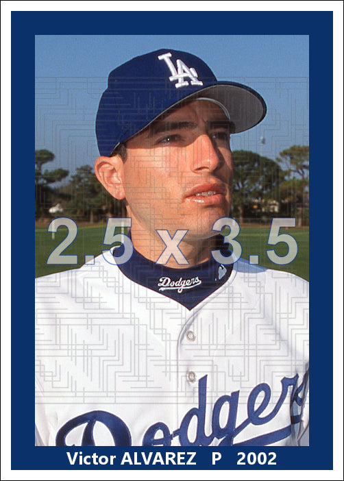 Victor Alvarez - 2002 Los Angeles Dodgers - choose a size & style
