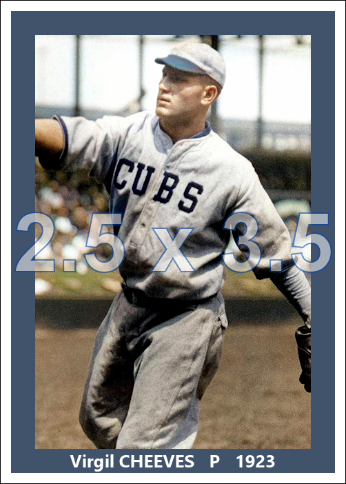 Virgil Cheeves - 1923 Chicago Cubs - choose a size & style