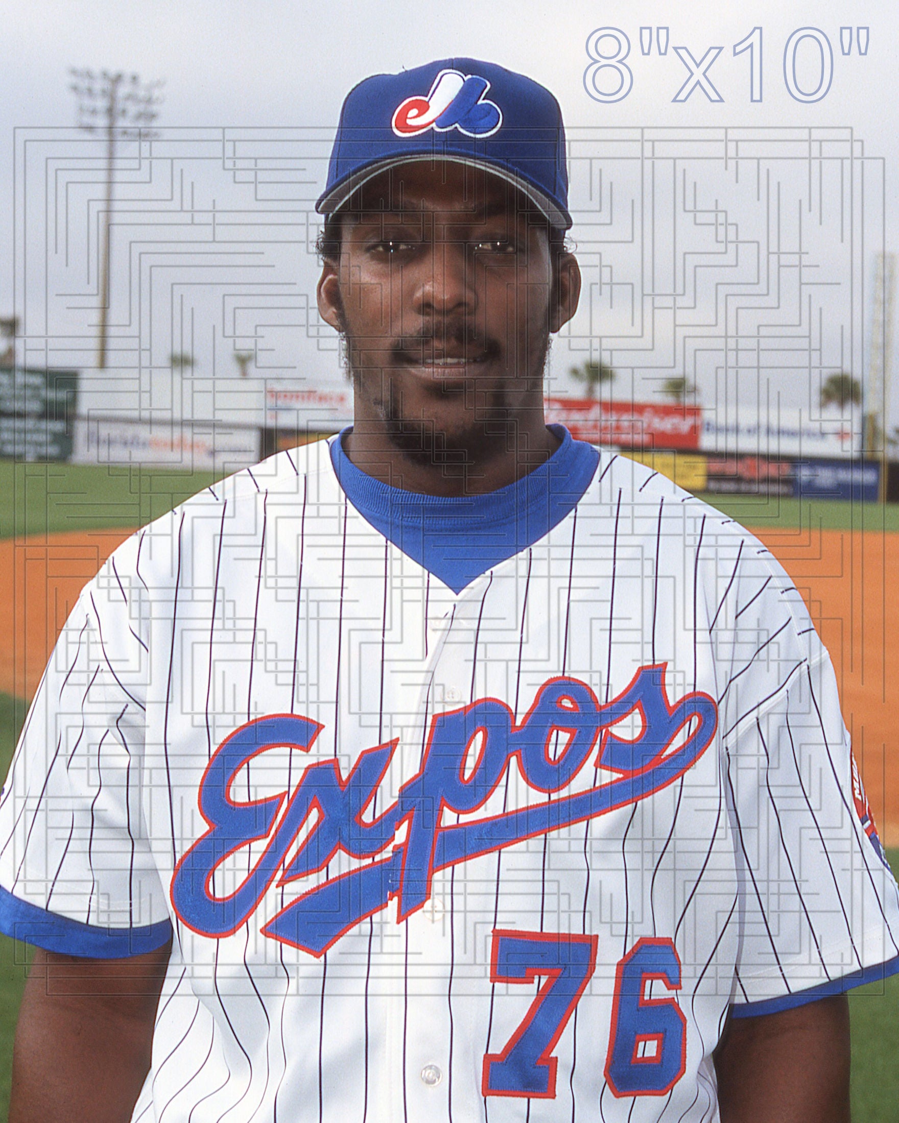 Vladimir Guerrero - 2003 Montreal Expos - choose a size & style
