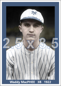 Waddy MacPhee - 1922 New York Giants - choose a size & style
