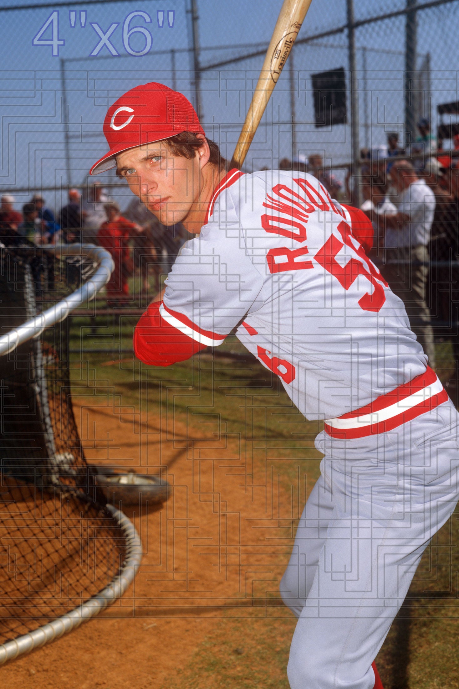 Wade Rowdon - 1984 Cincinnati Reds - choose a size & style
