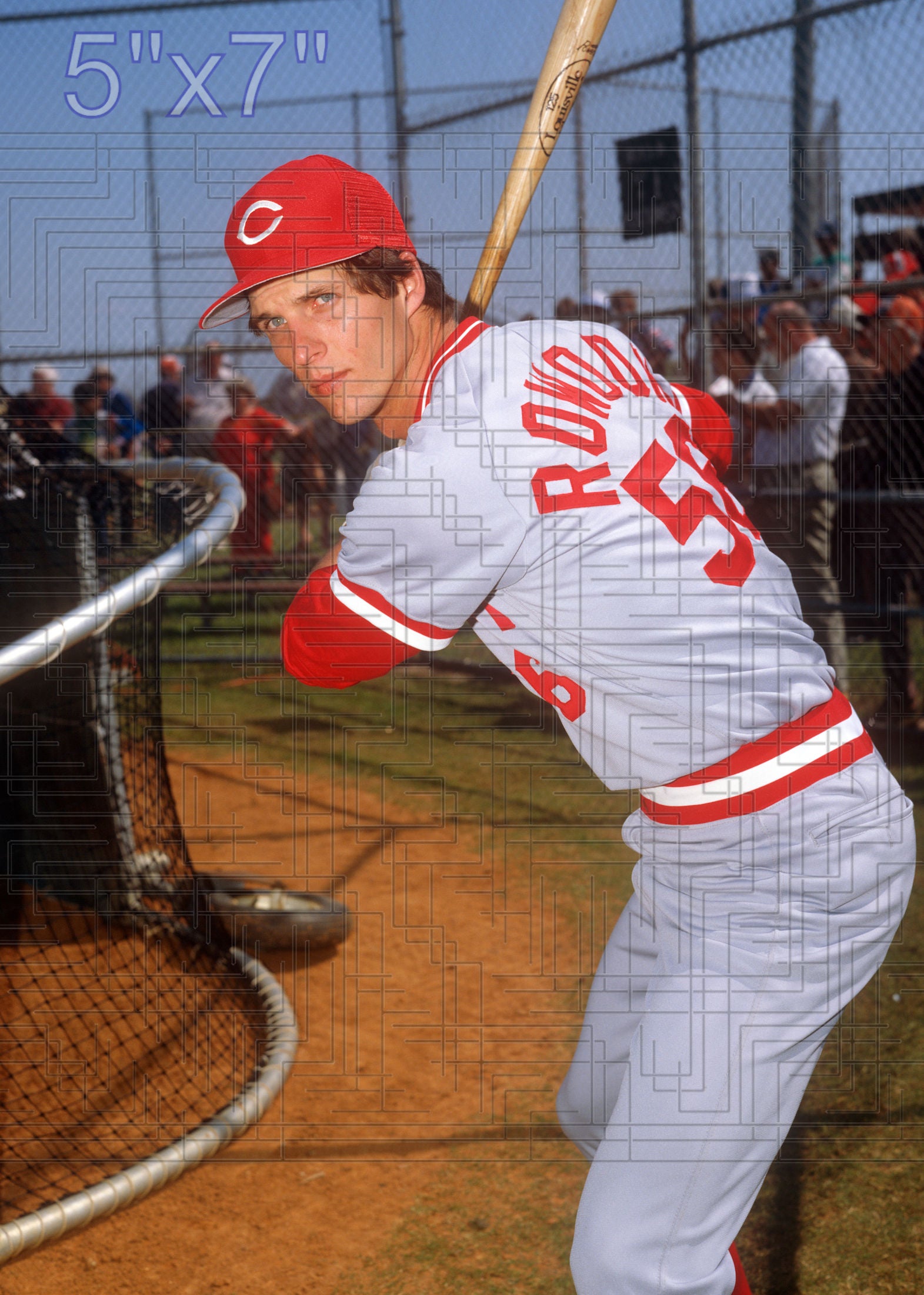 Wade Rowdon - 1984 Cincinnati Reds - choose a size & style