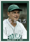 Waite Hoyt - 1937 Brooklyn Dodgers - choose a size & style