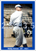 Wally Hood - 1921 Brooklyn Robins - choose a size & style