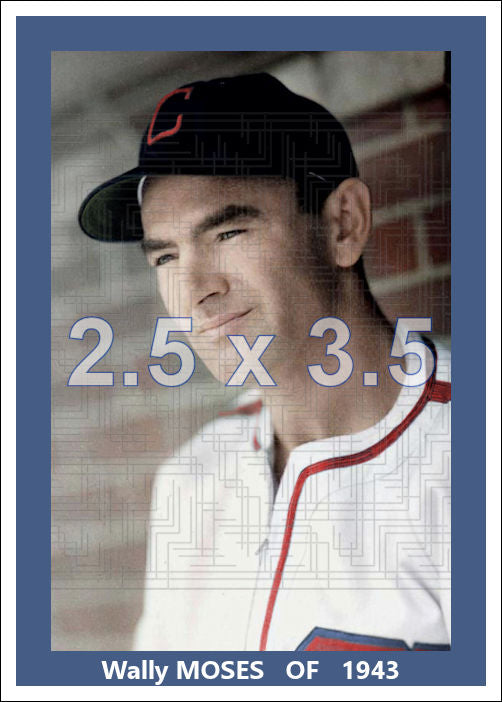 Wally Moses - 1943 Chicago White Sox - choose a size & style