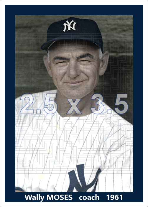 Wally Moses - 1961 New York Yankees - choose a size & style