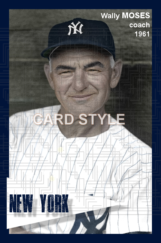 Wally Moses - 1961 New York Yankees - choose a size & style